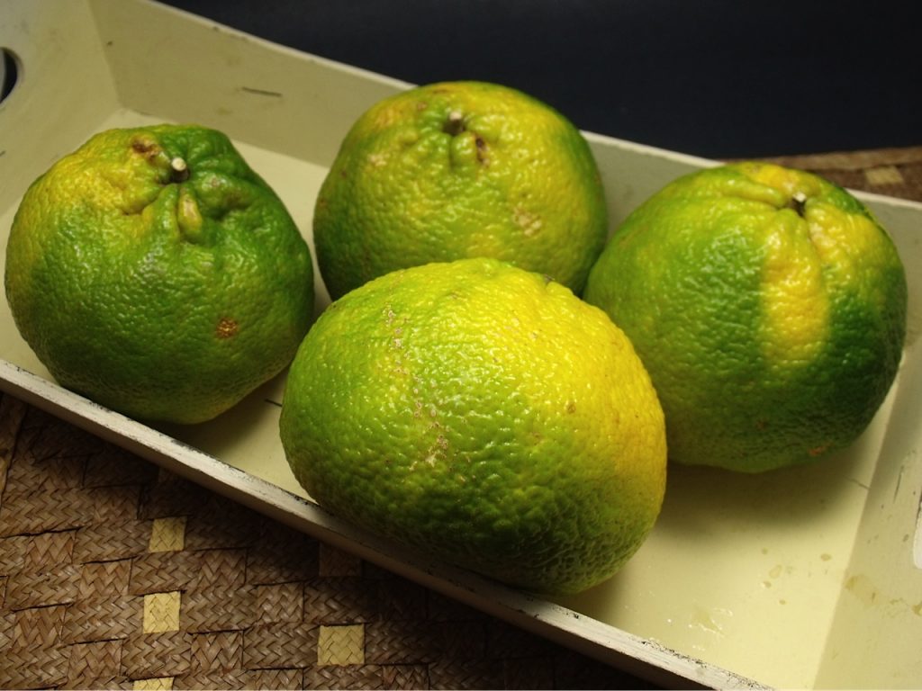 ugli fruit for coloring pages - photo #43
