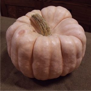 pink pumpkin