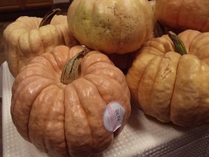 pink pumpkins