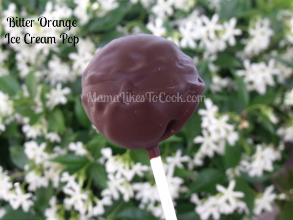 chocolate orange ice cream pop