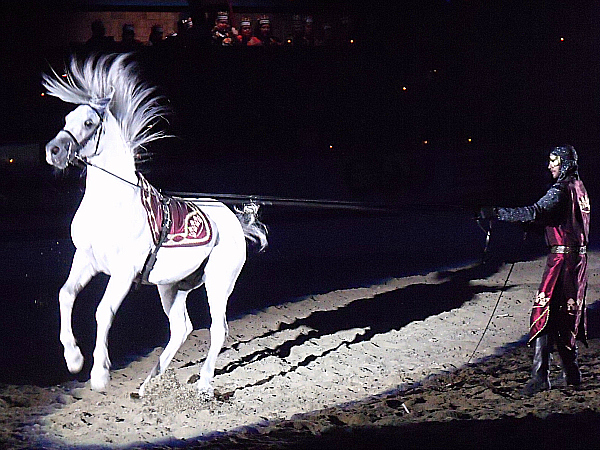 Medieval Times Horse Show