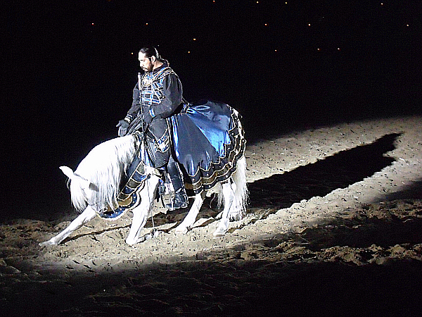 Medieval Times (Vegetarian) Dinner & Tournament Buena Park, California