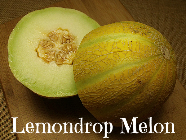 Kandy Lemondrop Melon with Sweet Tart Flavor - Lemon Drop Melon Similar to Honeydew 