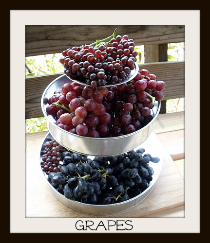 Tower of Grapes - Champagne Grapes, Red Muscatos and Black Muscatos