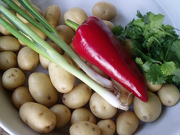 Baby Dutch Yellow Potatoes, Green Onions, Cilantro and Kapia Sweet Pepper