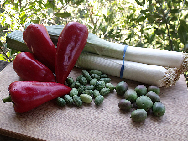 Belgian Style Leeks, Kapia Peppers, Baby Kiwi, Watermelon Cucumbers