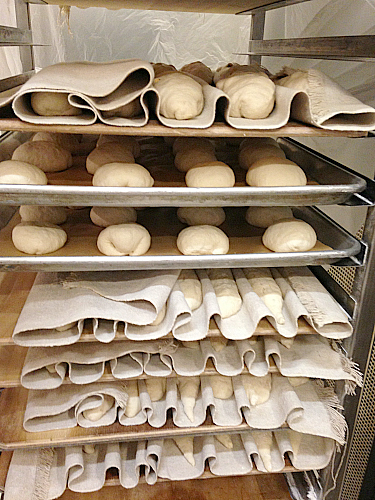 Le Pain Quotidien Bread Baking Class