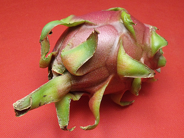 Dragon Fruit