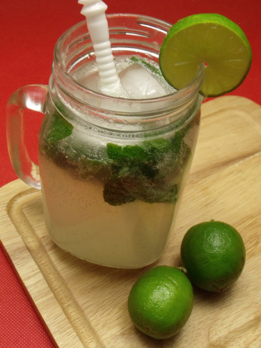 Virgin Mojito Mocktail