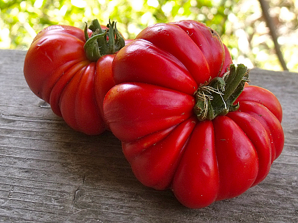 Heirloom Tomatoes