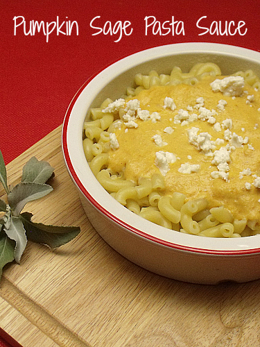 Pumpkin Sage Pasta Sauce