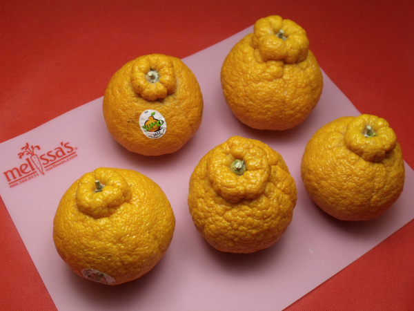 Sumo Tangerines