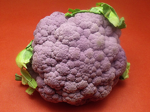 Purple Cauliflower