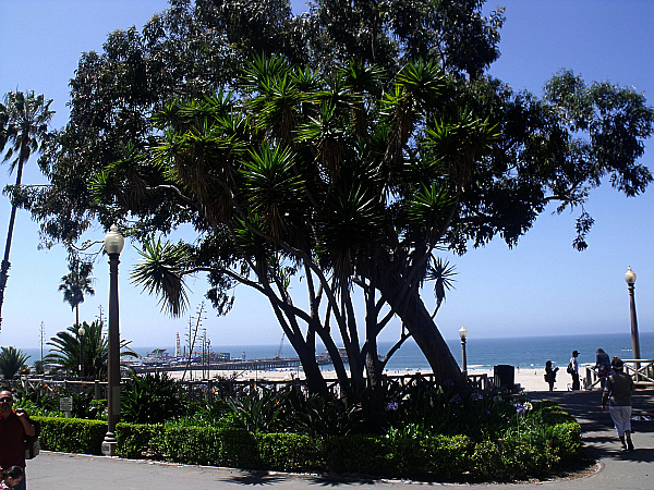 View from Ocean Avenue in Santa Monica