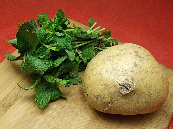 Fresh Mint and Jicama