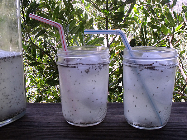 Chia Seed Lemonade