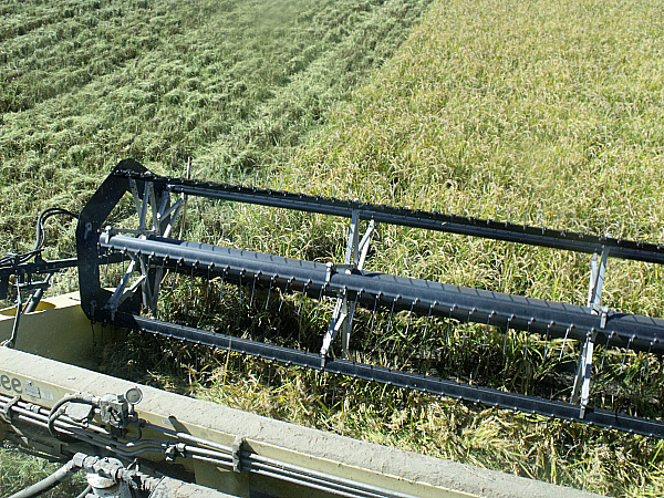 Lundberg Family Farms Tour - Richvale, California