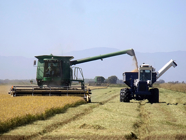 Lundberg Family Farms Tour - Richvale, California