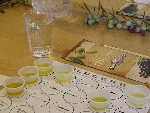 Lucero Olive Oil Tour and Tasting - Corning, California