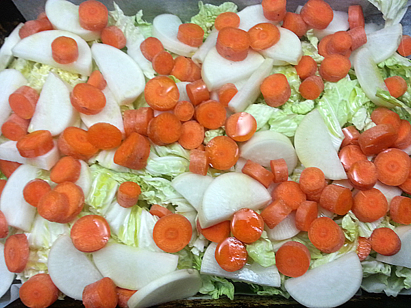 Roasted Napa Cabbage, Carrots and Daikon