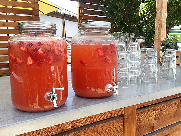 The Ecology Center's Chef's Lunch - San Juan Capistrano, California #GreenFeast2015