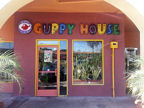 Guppy House - Anaheim Hills, California