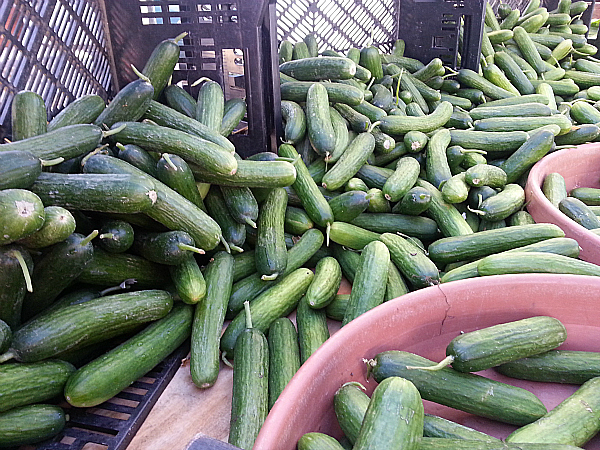 The Ojai Farmers' Market