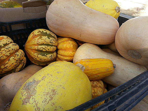 The Ojai Farmers' Market