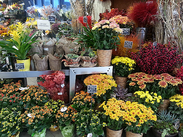 Fresh Flowers at Bristol Farms - Los Angeles, California