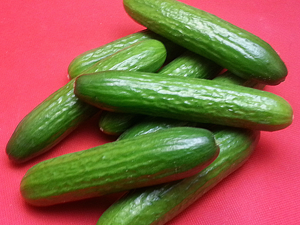 Persian Cucumbers