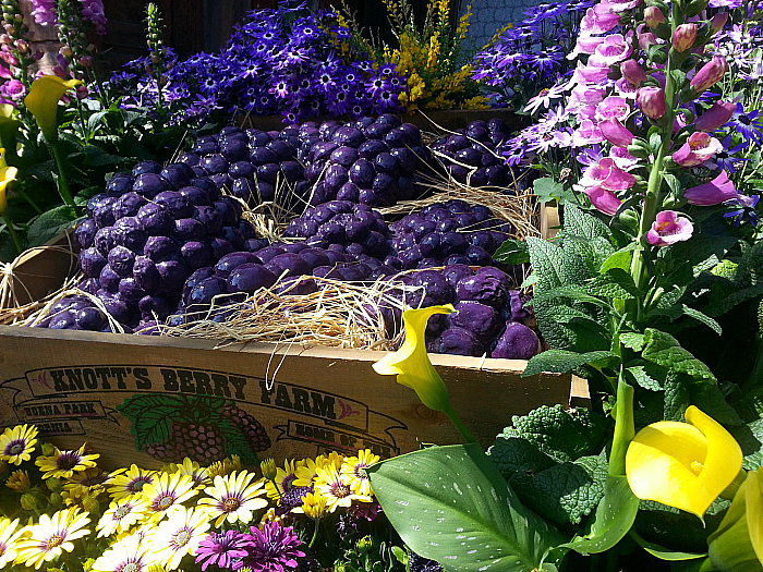 Knotts Boysenberry Festival Food, Wine and Craft Beer Tasting