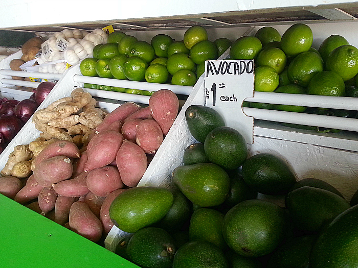 Farm Stand on Hueneme Road in Oxnard, California