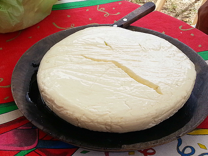 Homemade Panela Cheese in Jalisco, Mexico