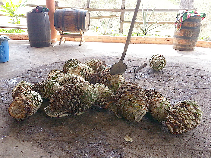 Dona Chanita Tequila Distillery - Jalisco, Mexico