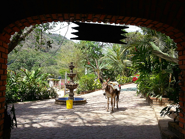 Dona Chanita Tequila Distillery - Jalisco, Mexico