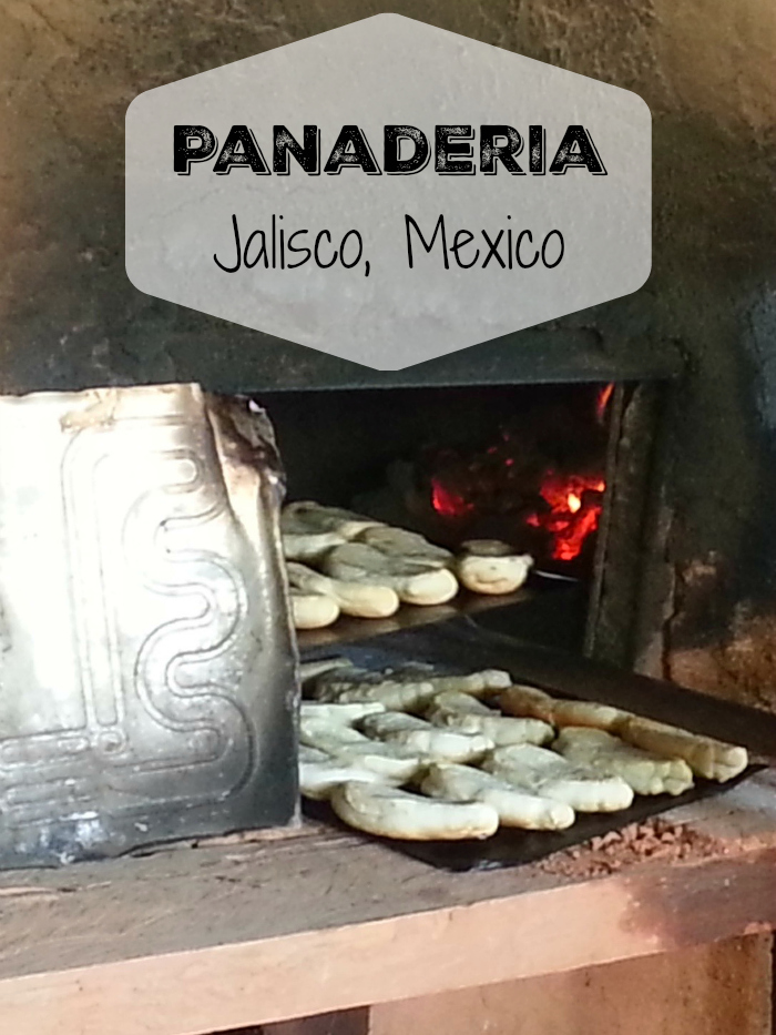 Traditional Clay Oven Panaderia in Jalisco, Mexico