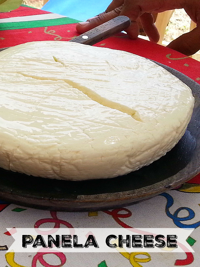 Homemade Panela Cheese in Jalisco, Mexico