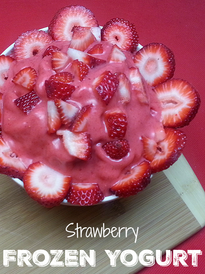 Blender Strawberry Frozen Yogurt Recipe