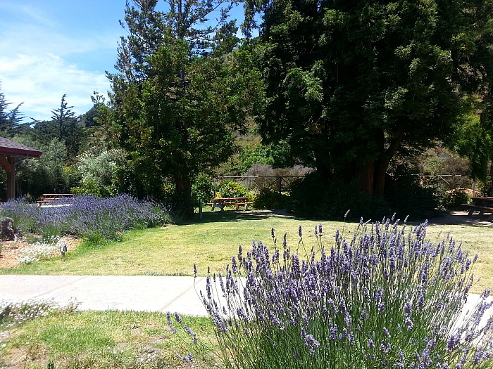 Earthbound Farm's Farm Stand and Organic Cafe - Carmel, California