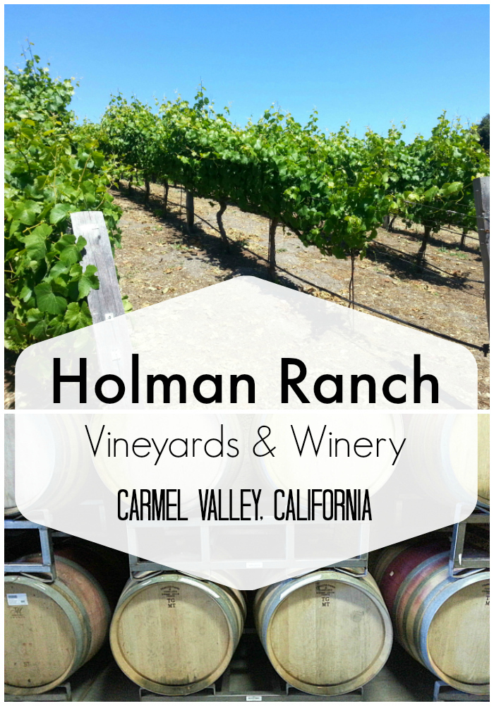 Holman Ranch Vineyards and Winery Tour - Carmel Valley, California