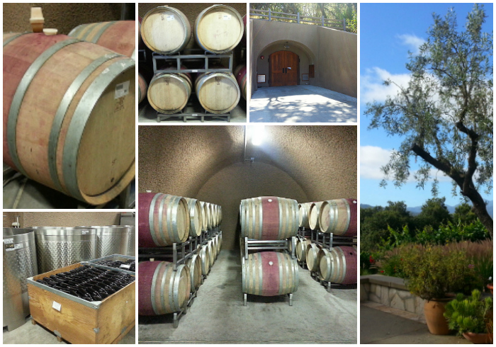 Holman Ranch Vineyards & Winery Tour - Carmel Valley, California