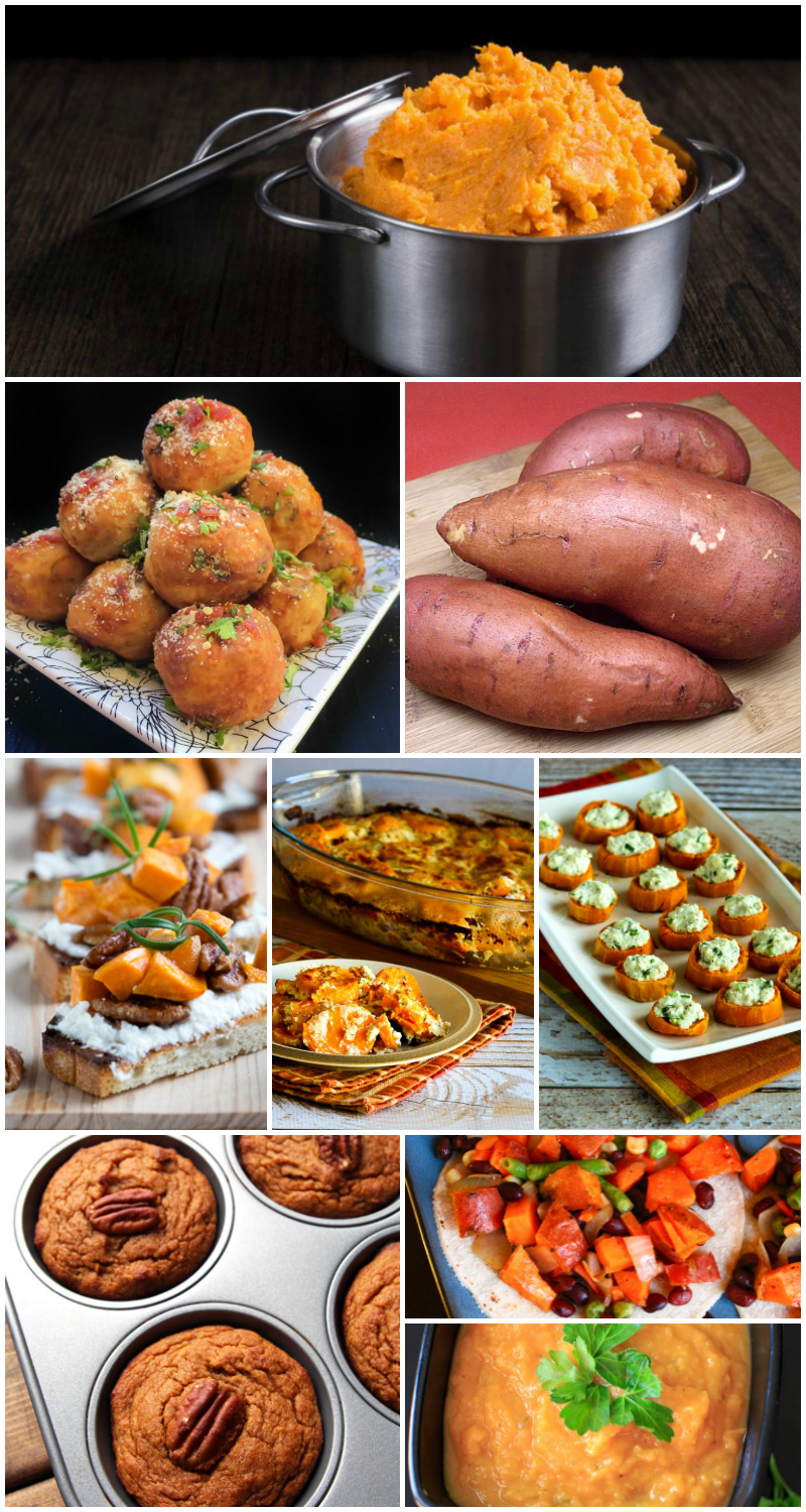 20+ Savory Sweet Potato Recipes - Food Blogger Recipe Round Up