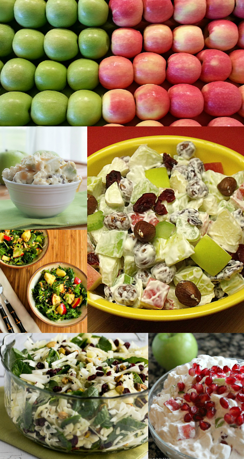 14 Tasty Apple Salad Recipes - Food blogger recipe round up