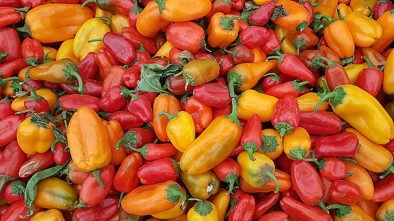 Chiles at SoCo Farmer's Market - Costa Mesa, California