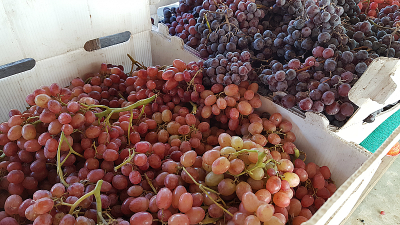 Grapes at farmers market