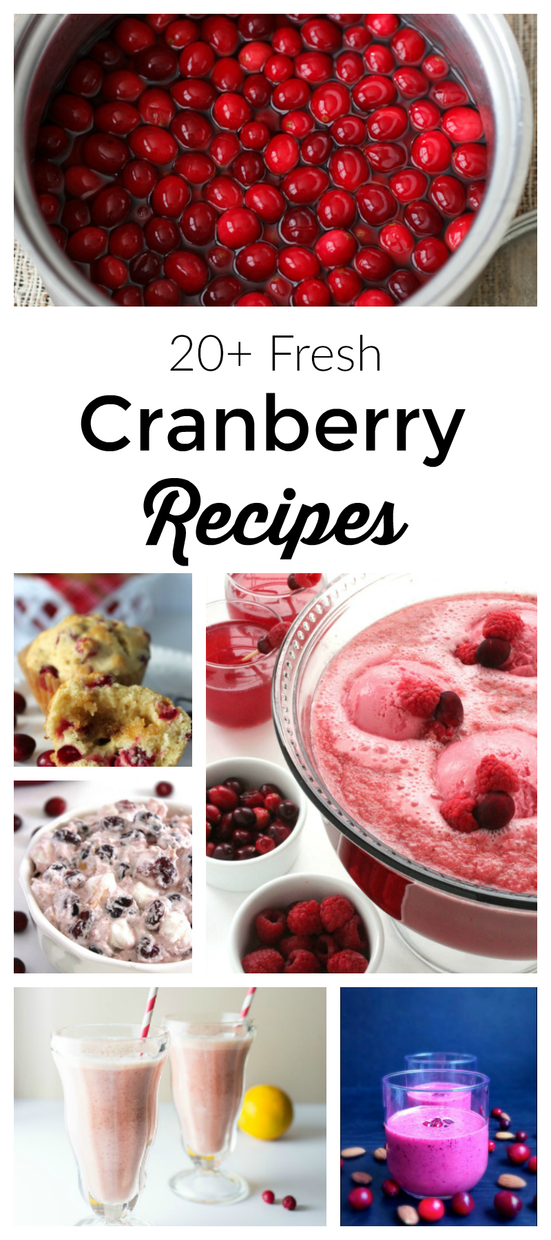 More Than 20 Fresh Cranberry Recipes - Food blogger recipe round up