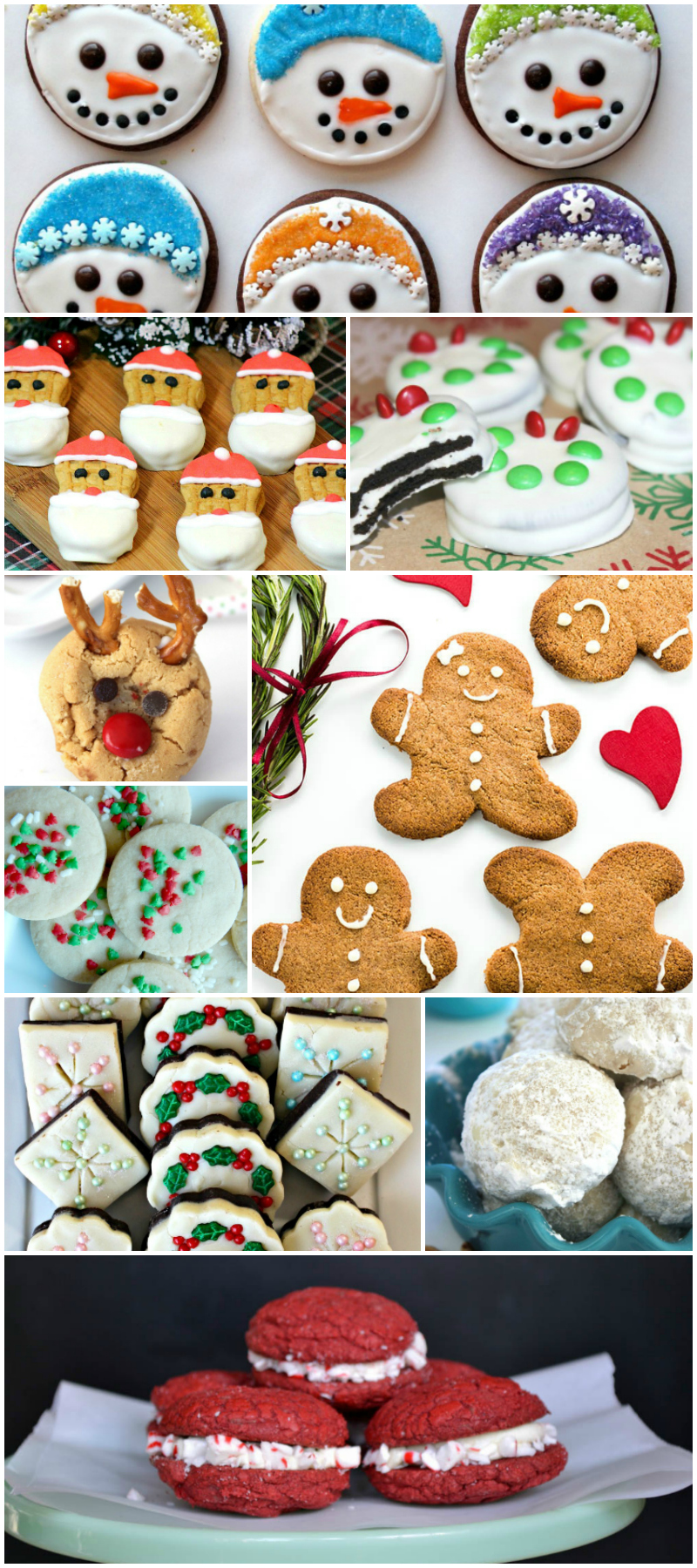 30 Festive Christmas Cookies Recipes - Food Blogger Recipe Round Up