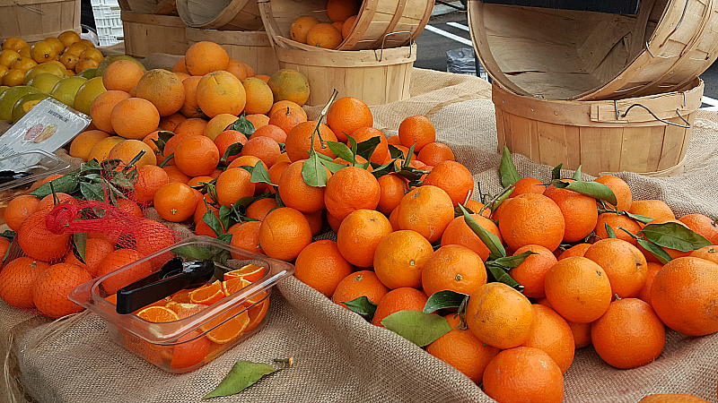 Farmer's Market at Irvine Regional Park