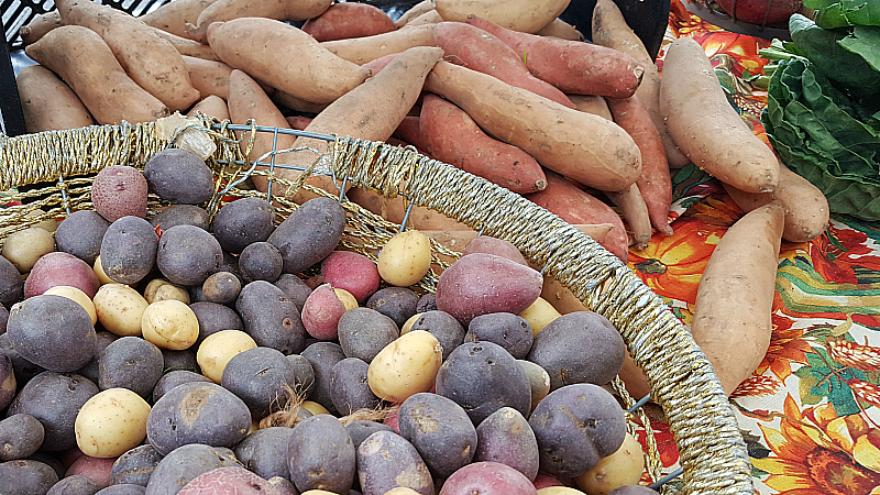 Farmer's Market at Irvine Regional Park