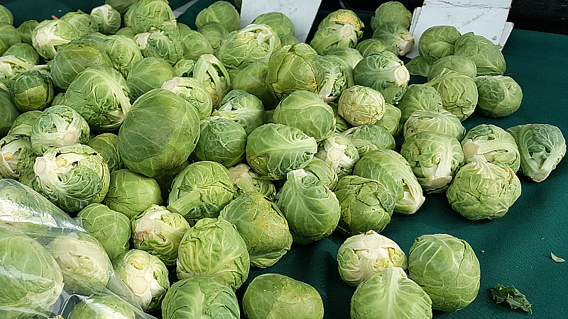 Farmer's Market at Irvine Regional Park